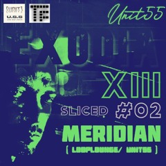 MERIDIAN - EXODIA XIII sliced #02