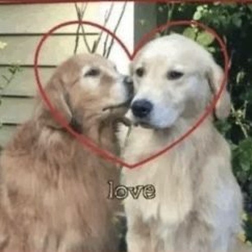 This Love Is A Sure Thing