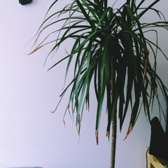 In Every Dream Home A Heartache X Rave [re-Interpretation]