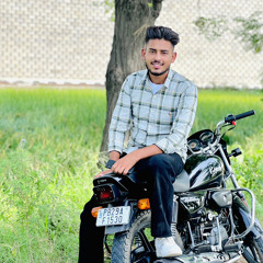 Ticket TaraPaal