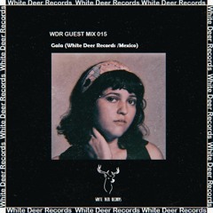 WDR Guest Mix #015 - Gala