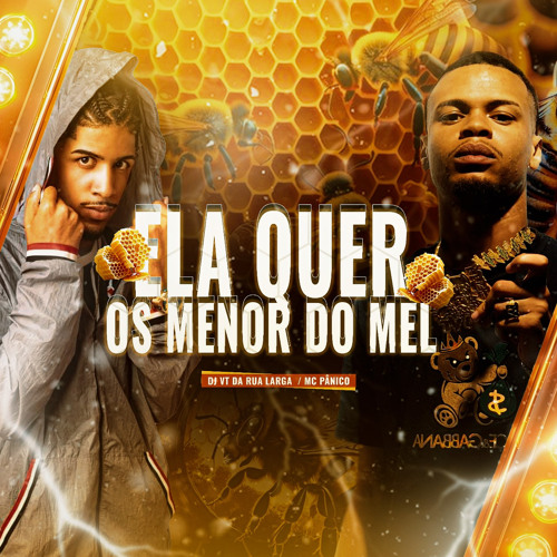 MC PÂNICO - ELA QUER OS MENOR DO MEL ( PROD DJ VT DA RUA LARGA ) O QUERIDINHO DELAS