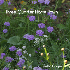 Three Quarter Horse Town