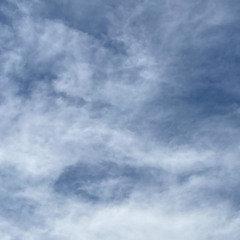 DJ DOD303 - 303Vegetable