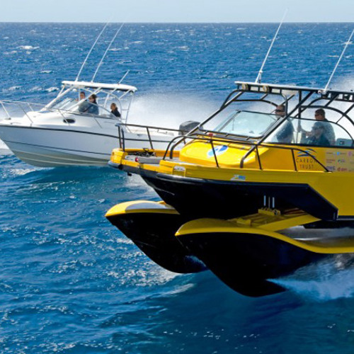 Why extradisciplinary CEDRAAM