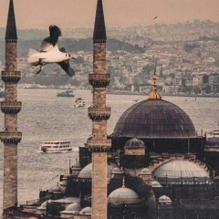 وَمَنْ أَظْلَمُ مِمَّن ذُكِّرَ بِآيَاتِ رَبِّهِ ثُمَّ أَعْرَضَ عَنْهَا | الزهراني