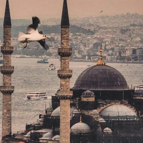 وَمَنْ أَظْلَمُ مِمَّن ذُكِّرَ بِآيَاتِ رَبِّهِ ثُمَّ أَعْرَضَ عَنْهَا | الزهراني