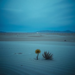 Outcasts-Anduhil Jewel-Billow.mp3