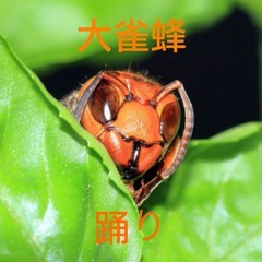 大雀蜂踊り(Ōsuzumebachi Odori)