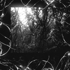 CURSED MONTH [FREE DL]