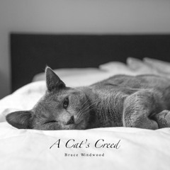 A Cat's Creed
