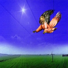 what i can and can’t do.m4a (1ntcart)