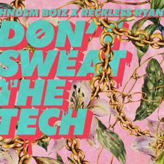 Don't Sweat The Tech - Reckless Ryan X HNDSM Boiz (Original) [Sounds Of Meow]