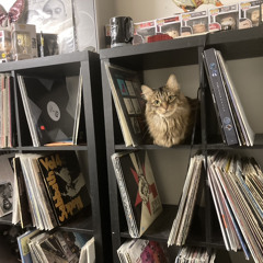 Cheaper than therapy