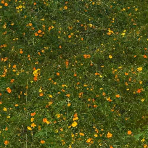 BACK HUG (Prod.Chewiser)