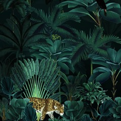 Ridwan Borneo - Jungle Dutch & Breaks