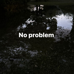 No problem/wody,berry