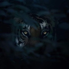LukSki ~ IntoTheWoods