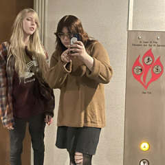 WESTERN UNION - BIRDS FEAR DEATH / DIGIKITTY