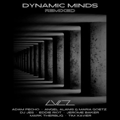 Gabriel Palomo - Dynamic Minds (Adam Pecho Remix)