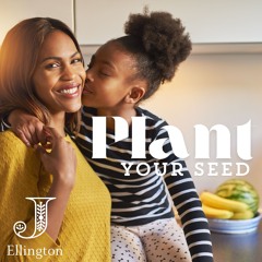 Plant Your Seed (God's Hope)