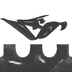 transient rollercoaster