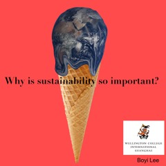 Why Is Sustainability So Important?