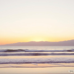 Shoreline