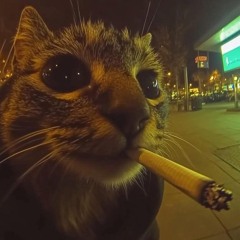 좋아한다니까-염따(Remix)
