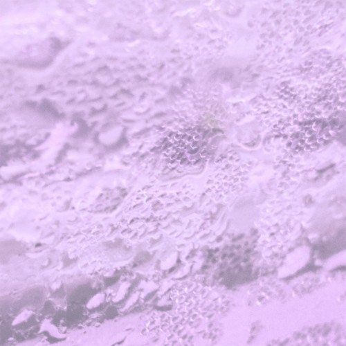 Kelbin - Arp Loops