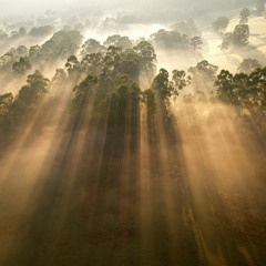 warm rays collimate the persienne