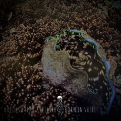 Premiere: Rapossa feat. Shellsee - Born in Shell [FAWNA]