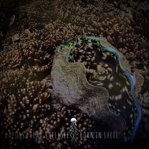 Premiere: Rapossa feat. Shellsee - Born in Shell [FAWNA]