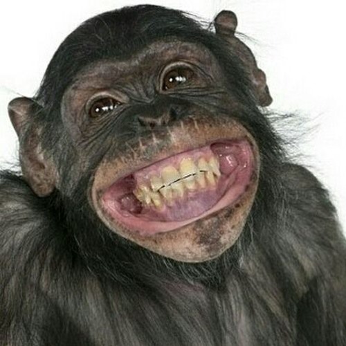 Good Times Bad Times (Led Zeppelin Cover)