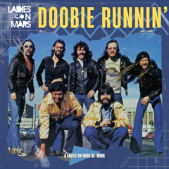 Doobie Runnin (Original Mix)