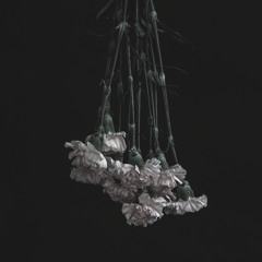 Inertia Waits