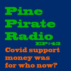 PPR43 - Covid support money was for who now?