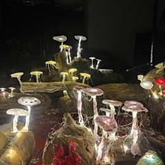 Feederleicht & KK303 - Sommerabschluss Deep House