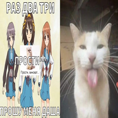 даша прости