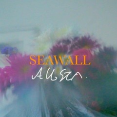 Neev - Seawall (Albsta Remix)