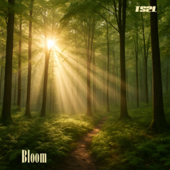 Bloom (in the style of The Paper Kites)