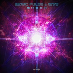 Bionic Pulse & Zivo - Shock