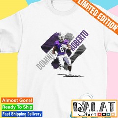 Dominic Roberto Gameday 8 Furman Paladins football shirt