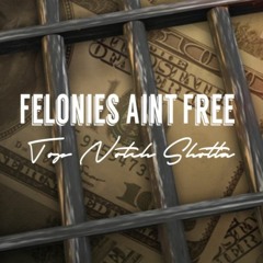 Felonies Ain't Free