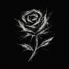 now you like roses again (demo)