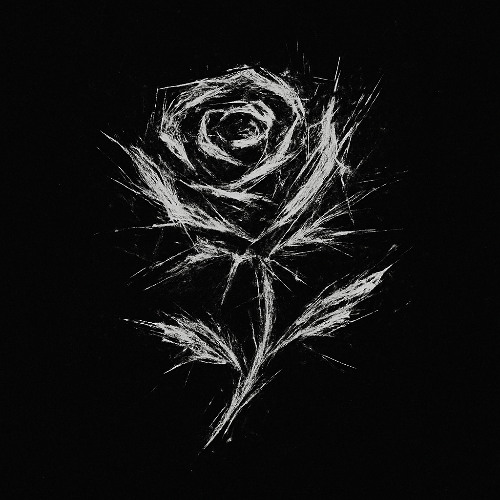 now you like roses again (demo)