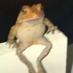 frog in thumbnail megalo