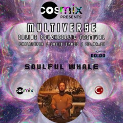 Multiverse - Soulful Whale