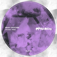 Eban Krocher - Organic Minds (Original Mix)