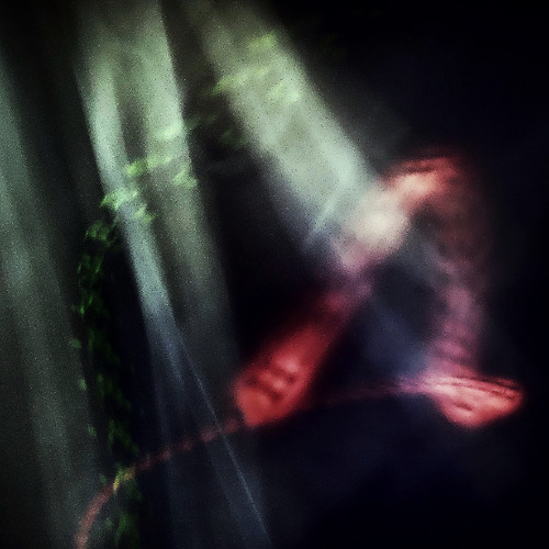 ヘビは音楽を聞こえない